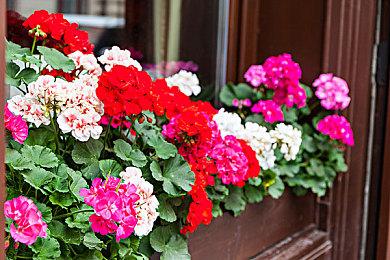 《模拟火车世界3》发售预告 Steam评价“特别好评”